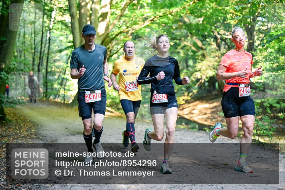 28.09.2025 - 33. Volkslauf durch das schöne Alstertal Dr. Thomas Lammeyer http://msf.ph/oto/8954296 28.09.2025 10:38:21 Laufen 2470, 1, 2443, 2085, 2086 meine-sportfotos.de