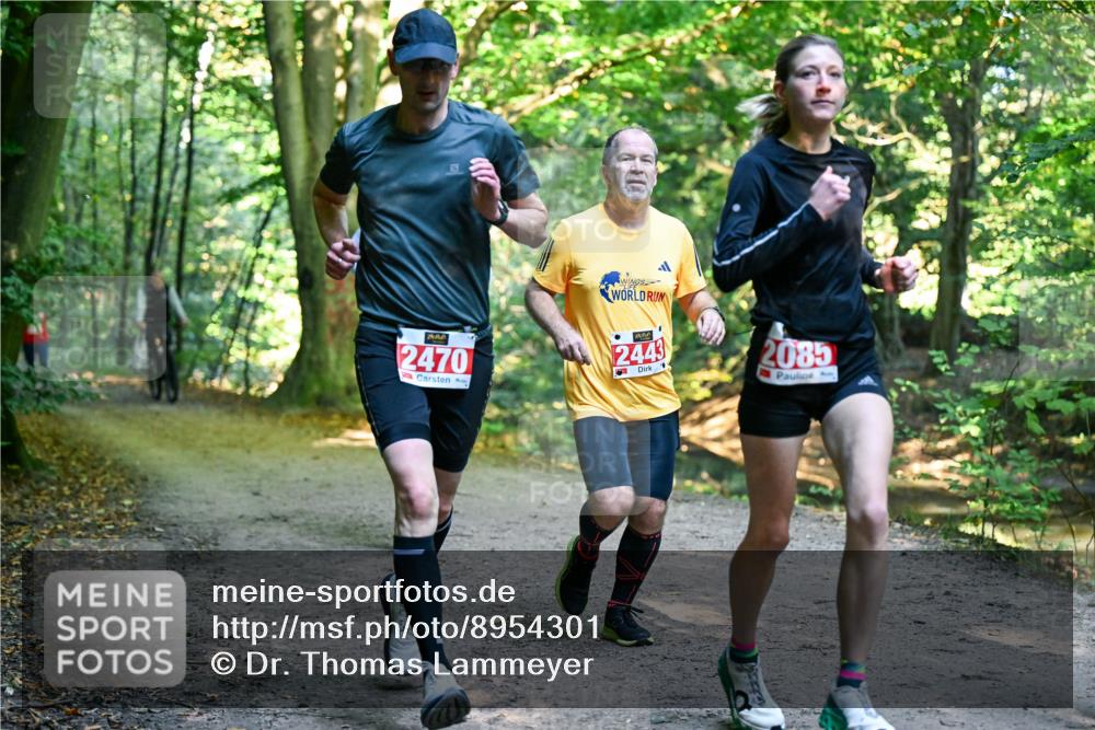 28.09.2025 - 33. Volkslauf durch das schöne Alstertal Dr. Thomas Lammeyer http://msf.ph/oto/8954301 28.09.2025 10:38:21 Laufen 2470, 2443, 2085 meine-sportfotos.de
