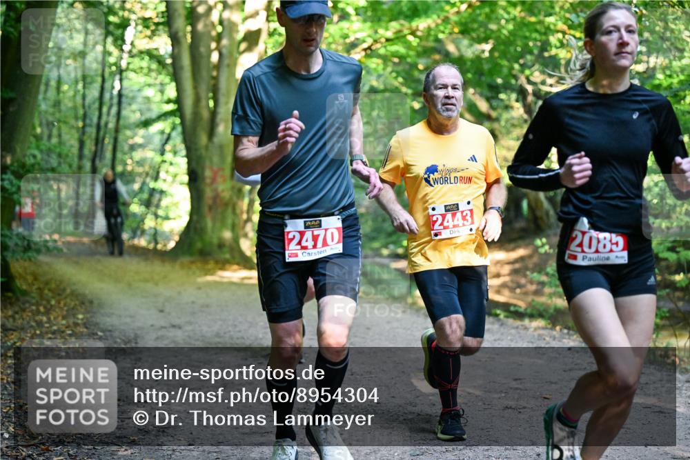 28.09.2025 - 33. Volkslauf durch das schöne Alstertal Dr. Thomas Lammeyer http://msf.ph/oto/8954304 28.09.2025 10:38:21 Laufen 2470, 2443, 2085 meine-sportfotos.de