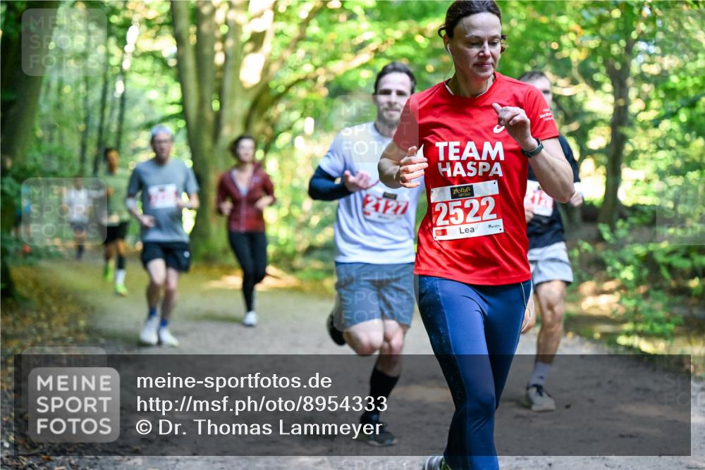 28.09.2025 - 33. Volkslauf durch das schöne Alstertal Dr. Thomas Lammeyer http://msf.ph/oto/8954333 28.09.2025 10:38:30 Laufen 2522 meine-sportfotos.de