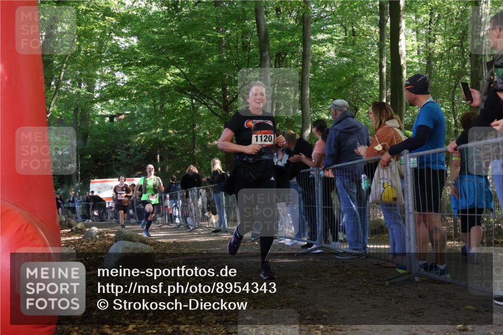 28.09.2025 - 33. Volkslauf durch das schöne Alstertal Strokosch-Dieckow http://msf.ph/oto/8954343 28.09.2025 12:40:33 Ziel 1120, 1579, 2369, 2545 meine-sportfotos.de
