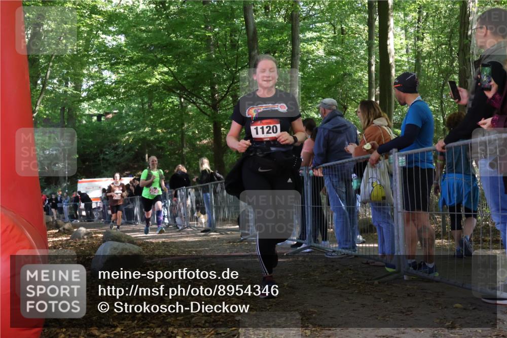 28.09.2025 - 33. Volkslauf durch das schöne Alstertal Strokosch-Dieckow http://msf.ph/oto/8954346 28.09.2025 12:40:33 Ziel 1120, 1579, 2369, 2545 meine-sportfotos.de