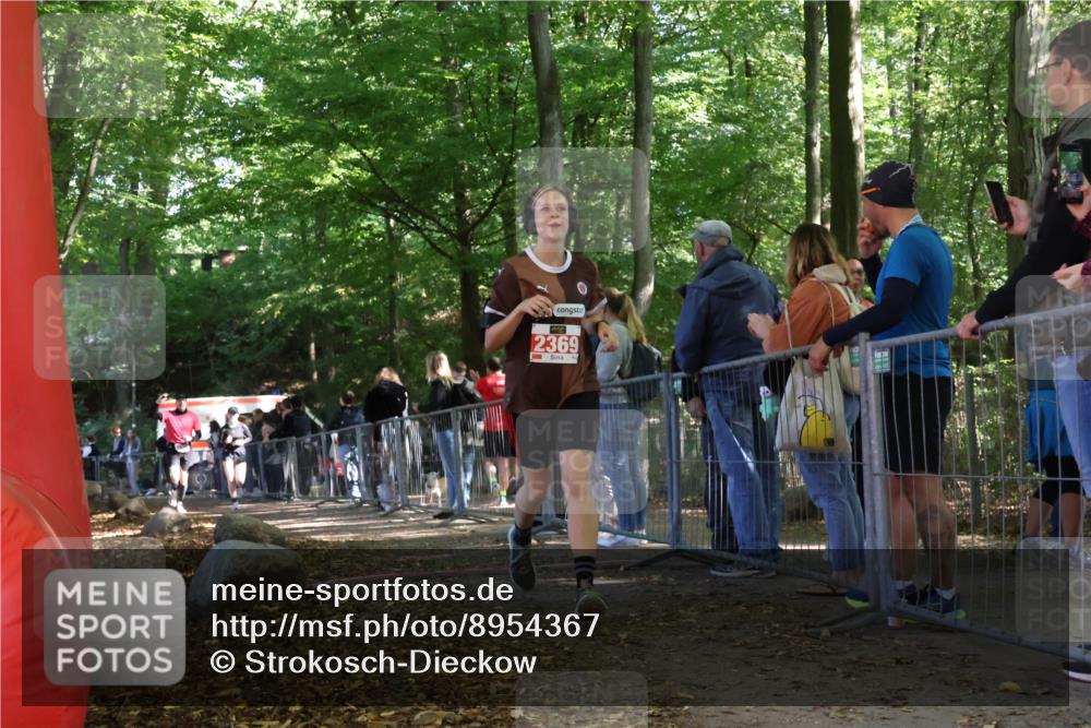 28.09.2025 - 33. Volkslauf durch das schöne Alstertal Strokosch-Dieckow http://msf.ph/oto/8954367 28.09.2025 12:40:37 Ziel 1566, 1579, 2369 meine-sportfotos.de