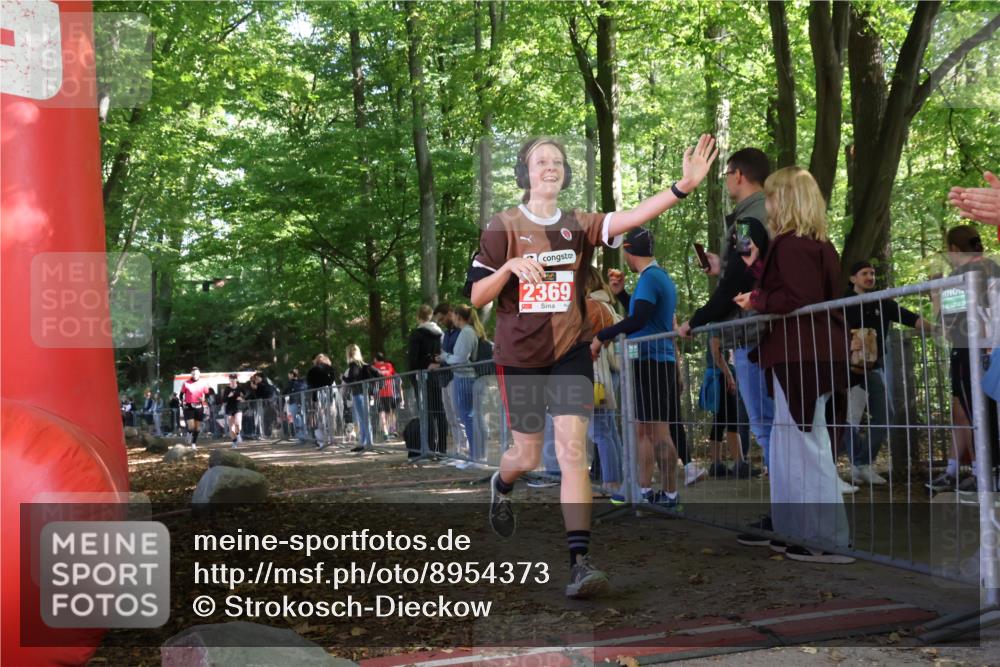 28.09.2025 - 33. Volkslauf durch das schöne Alstertal Strokosch-Dieckow http://msf.ph/oto/8954373 28.09.2025 12:40:38 Ziel 1566, 1579, 2369 meine-sportfotos.de