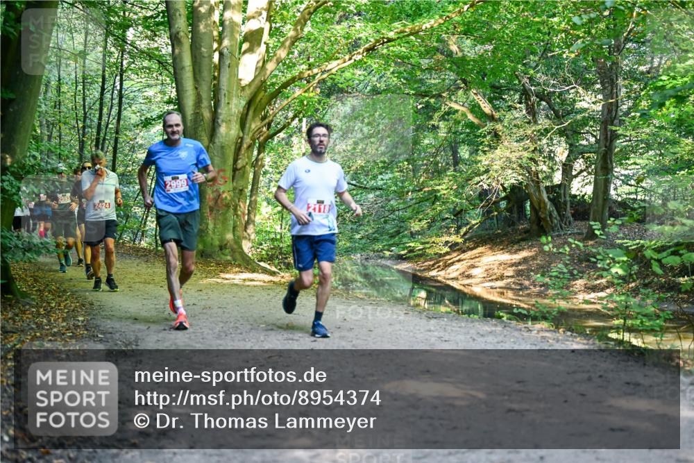 28.09.2025 - 33. Volkslauf durch das schöne Alstertal Dr. Thomas Lammeyer http://msf.ph/oto/8954374 28.09.2025 10:38:36 Laufen 2593, 2424, 2118 meine-sportfotos.de