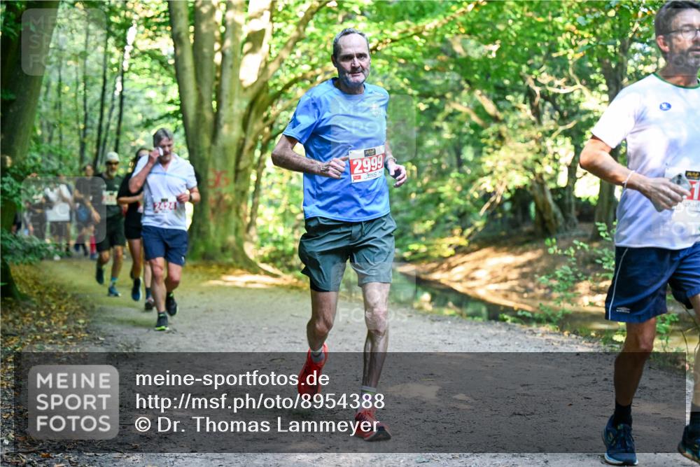 28.09.2025 - 33. Volkslauf durch das schöne Alstertal Dr. Thomas Lammeyer http://msf.ph/oto/8954388 28.09.2025 10:38:37 Laufen 2999 meine-sportfotos.de