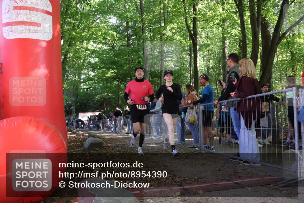28.09.2025 - 33. Volkslauf durch das schöne Alstertal Strokosch-Dieckow http://msf.ph/oto/8954390 28.09.2025 12:40:43 Ziel 1566, 1579, 2615, 2616 meine-sportfotos.de