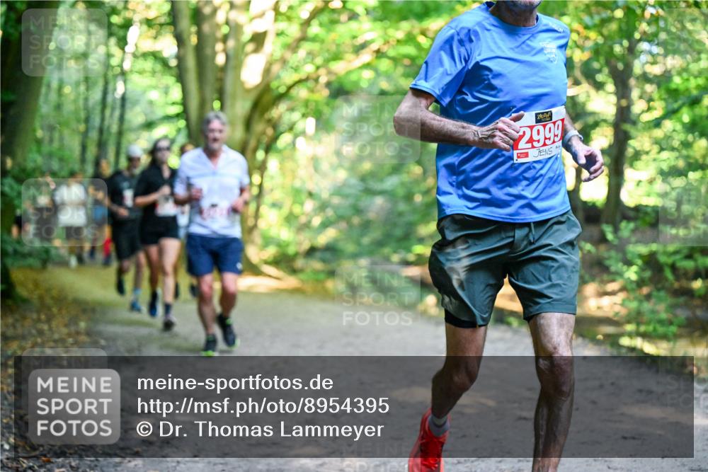 28.09.2025 - 33. Volkslauf durch das schöne Alstertal Dr. Thomas Lammeyer http://msf.ph/oto/8954395 28.09.2025 10:38:38 Laufen 2999 meine-sportfotos.de