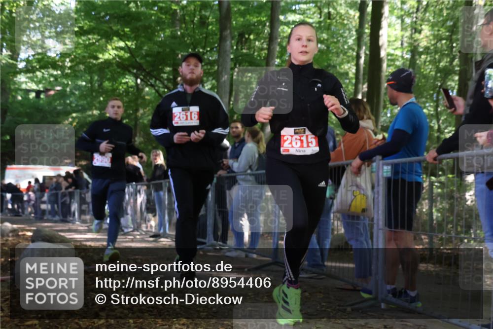 28.09.2025 - 33. Volkslauf durch das schöne Alstertal Strokosch-Dieckow http://msf.ph/oto/8954406 28.09.2025 12:40:52 Ziel 2615, 2616, 2990 meine-sportfotos.de