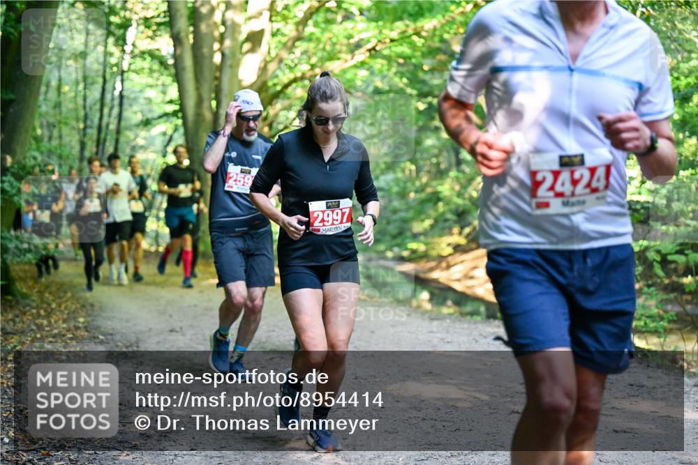 28.09.2025 - 33. Volkslauf durch das schöne Alstertal Dr. Thomas Lammeyer http://msf.ph/oto/8954414 28.09.2025 10:38:41 Laufen 259, 2997, 2424 meine-sportfotos.de
