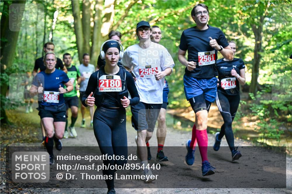 28.09.2025 - 33. Volkslauf durch das schöne Alstertal Dr. Thomas Lammeyer http://msf.ph/oto/8954440 28.09.2025 10:38:45 Laufen 2499, 2180, 2562, 2561, 2210 meine-sportfotos.de