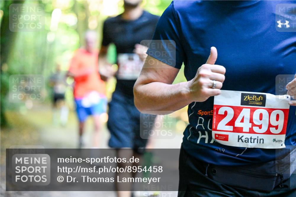 28.09.2025 - 33. Volkslauf durch das schöne Alstertal Dr. Thomas Lammeyer http://msf.ph/oto/8954458 28.09.2025 10:38:47 Laufen 2499, 719 meine-sportfotos.de