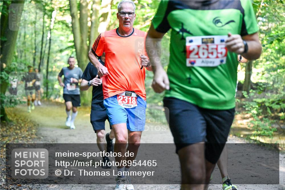 28.09.2025 - 33. Volkslauf durch das schöne Alstertal Dr. Thomas Lammeyer http://msf.ph/oto/8954465 28.09.2025 10:38:48 Laufen 2318, 2655 meine-sportfotos.de