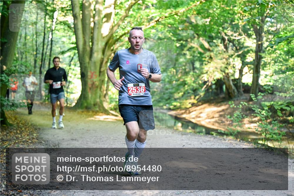28.09.2025 - 33. Volkslauf durch das schöne Alstertal Dr. Thomas Lammeyer http://msf.ph/oto/8954480 28.09.2025 10:38:50 Laufen 2536, 1 meine-sportfotos.de