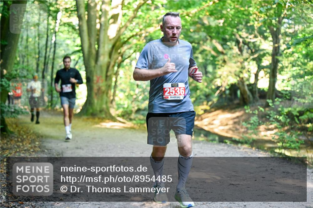 28.09.2025 - 33. Volkslauf durch das schöne Alstertal Dr. Thomas Lammeyer http://msf.ph/oto/8954485 28.09.2025 10:38:51 Laufen 2536 meine-sportfotos.de