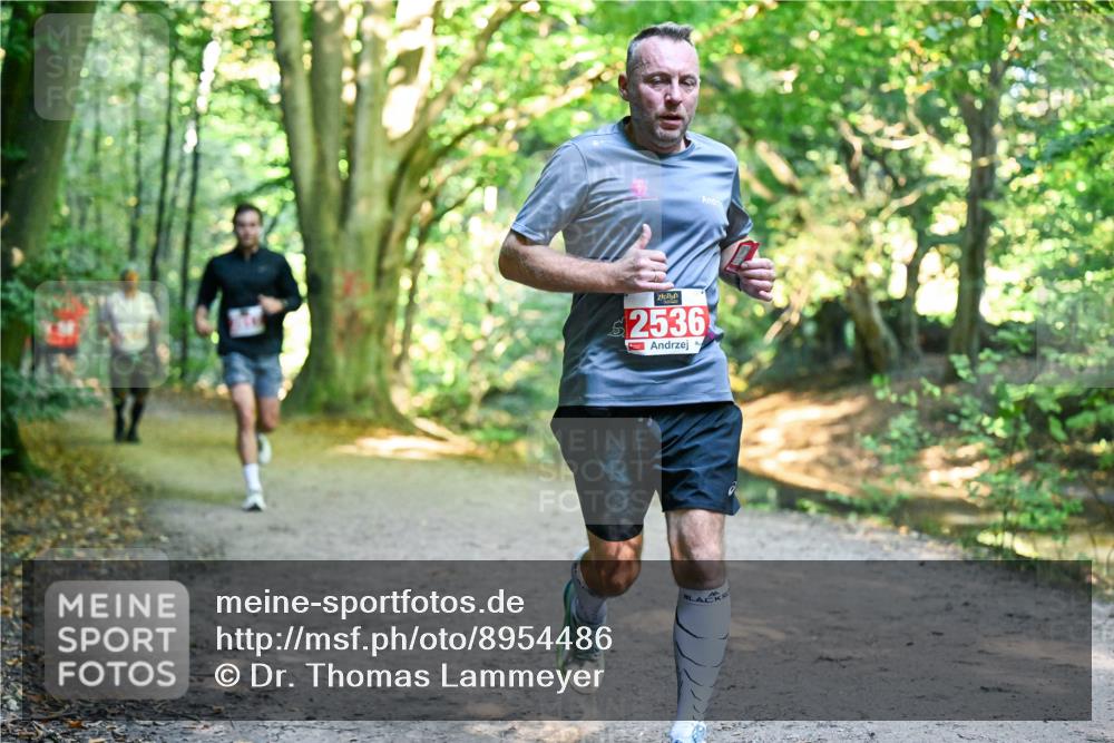 28.09.2025 - 33. Volkslauf durch das schöne Alstertal Dr. Thomas Lammeyer http://msf.ph/oto/8954486 28.09.2025 10:38:51 Laufen 2536 meine-sportfotos.de
