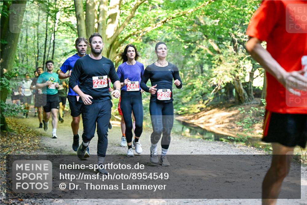 28.09.2025 - 33. Volkslauf durch das schöne Alstertal Dr. Thomas Lammeyer http://msf.ph/oto/8954549 28.09.2025 10:38:59 Laufen 2279, 12447, 2280 meine-sportfotos.de