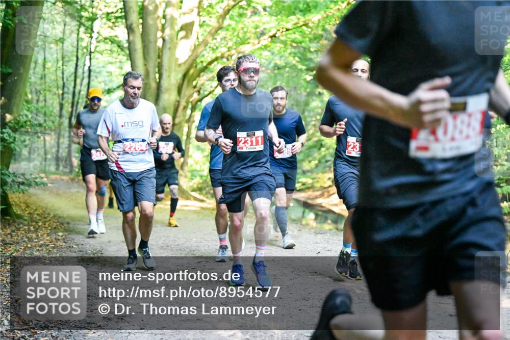28.09.2025 - 33. Volkslauf durch das schöne Alstertal Dr. Thomas Lammeyer http://msf.ph/oto/8954577 28.09.2025 10:39:04 Laufen 2264, 2311, 23, 088 meine-sportfotos.de