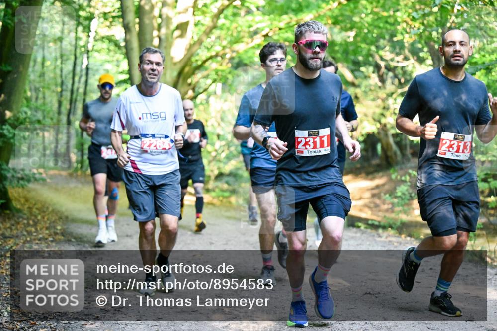 28.09.2025 - 33. Volkslauf durch das schöne Alstertal Dr. Thomas Lammeyer http://msf.ph/oto/8954583 28.09.2025 10:39:05 Laufen 2264, 2311, 2313 meine-sportfotos.de