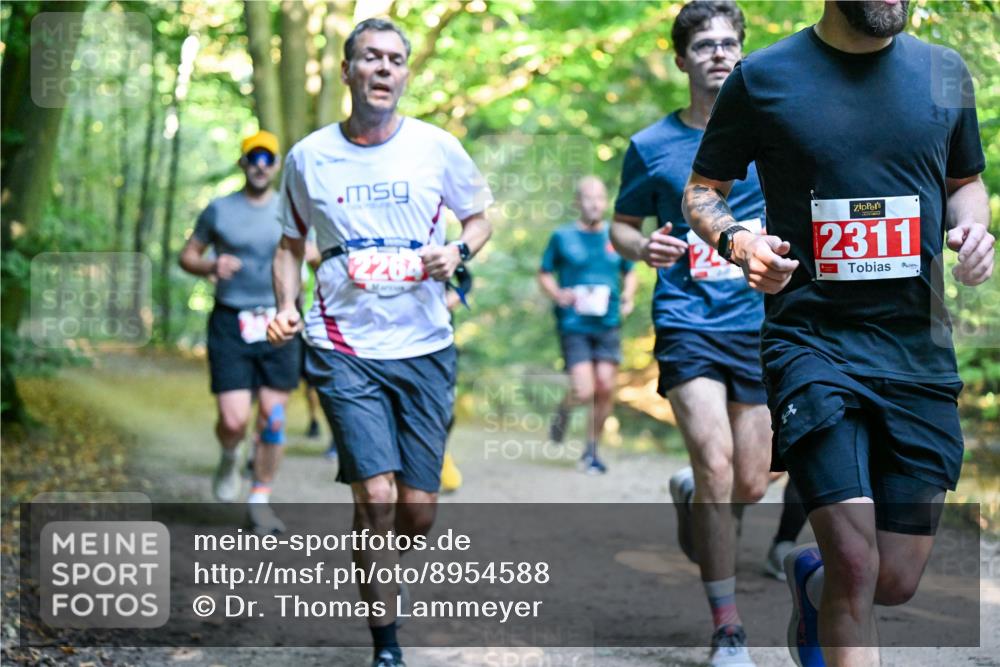 28.09.2025 - 33. Volkslauf durch das schöne Alstertal Dr. Thomas Lammeyer http://msf.ph/oto/8954588 28.09.2025 10:39:05 Laufen 2264, 2311 meine-sportfotos.de