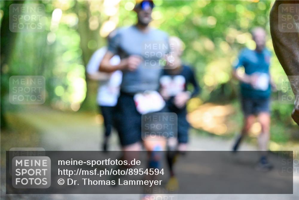 28.09.2025 - 33. Volkslauf durch das schöne Alstertal Dr. Thomas Lammeyer http://msf.ph/oto/8954594 28.09.2025 10:39:07 Laufen  meine-sportfotos.de