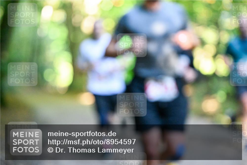 28.09.2025 - 33. Volkslauf durch das schöne Alstertal Dr. Thomas Lammeyer http://msf.ph/oto/8954597 28.09.2025 10:39:07 Laufen  meine-sportfotos.de