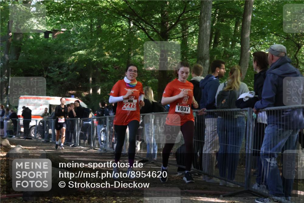 28.09.2025 - 33. Volkslauf durch das schöne Alstertal Strokosch-Dieckow http://msf.ph/oto/8954620 28.09.2025 12:43:13 Ziel 1037, 2257, 2275 meine-sportfotos.de