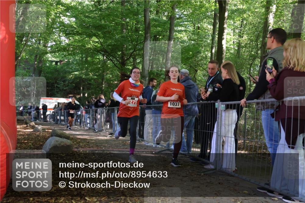 28.09.2025 - 33. Volkslauf durch das schöne Alstertal Strokosch-Dieckow http://msf.ph/oto/8954633 28.09.2025 12:43:14 Ziel 1037, 2257, 2275 meine-sportfotos.de