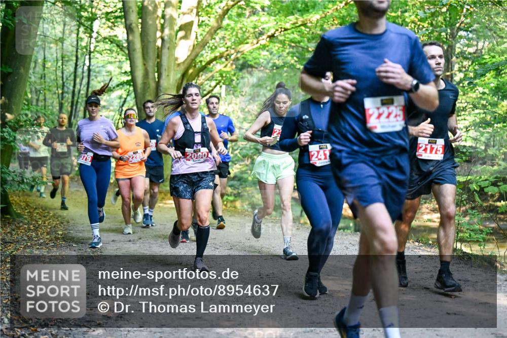 28.09.2025 - 33. Volkslauf durch das schöne Alstertal Dr. Thomas Lammeyer http://msf.ph/oto/8954637 28.09.2025 10:39:21 Laufen 379, 2090, 241, 2225, 2175 meine-sportfotos.de