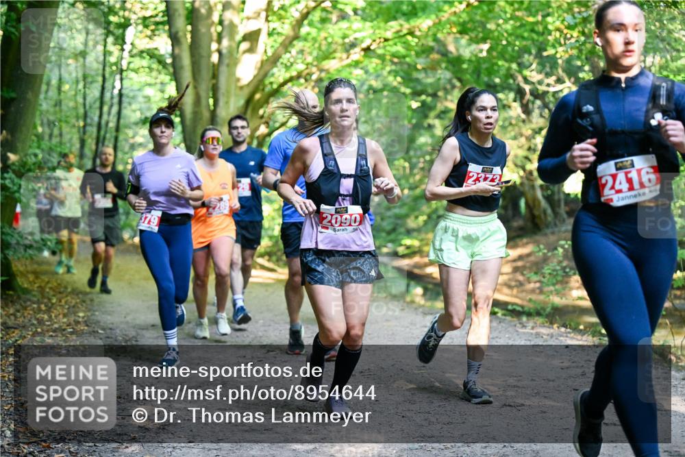 28.09.2025 - 33. Volkslauf durch das schöne Alstertal Dr. Thomas Lammeyer http://msf.ph/oto/8954644 28.09.2025 10:39:22 Laufen 379, 2090, 2373, 2416 meine-sportfotos.de