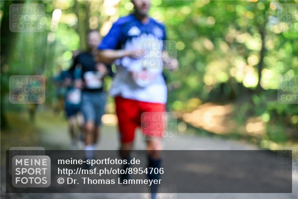 28.09.2025 - 33. Volkslauf durch das schöne Alstertal Dr. Thomas Lammeyer http://msf.ph/oto/8954706 28.09.2025 10:39:31 Laufen  meine-sportfotos.de