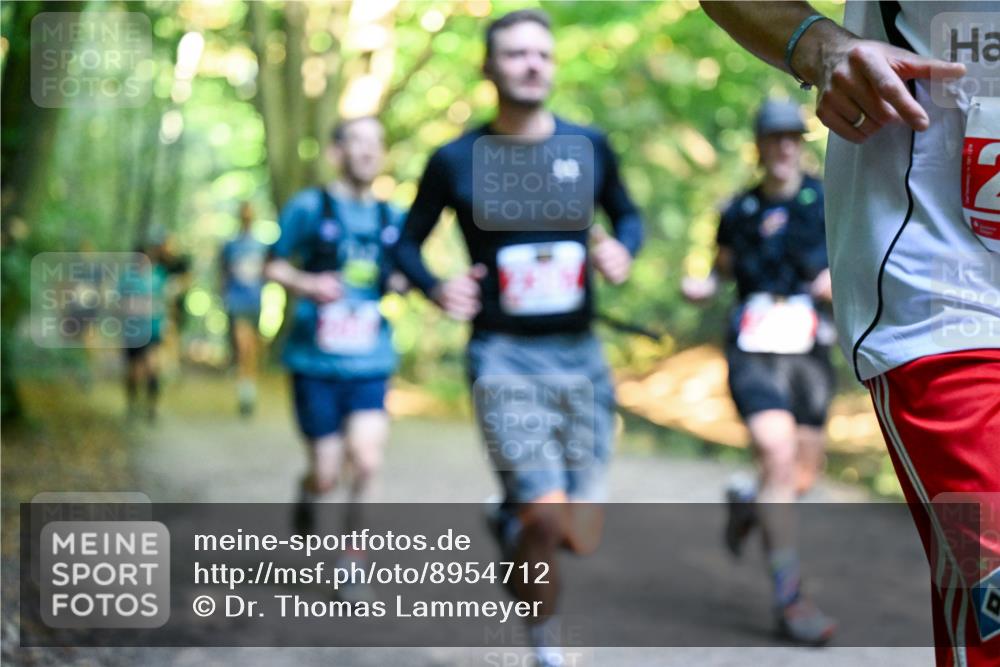 28.09.2025 - 33. Volkslauf durch das schöne Alstertal Dr. Thomas Lammeyer http://msf.ph/oto/8954712 28.09.2025 10:39:32 Laufen  meine-sportfotos.de