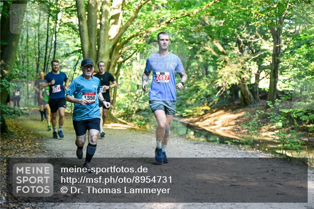 28.09.2025 - 33. Volkslauf durch das schöne Alstertal Dr. Thomas Lammeyer http://msf.ph/oto/8954731 28.09.2025 10:39:35 Laufen 2621, 1350, 2497 meine-sportfotos.de