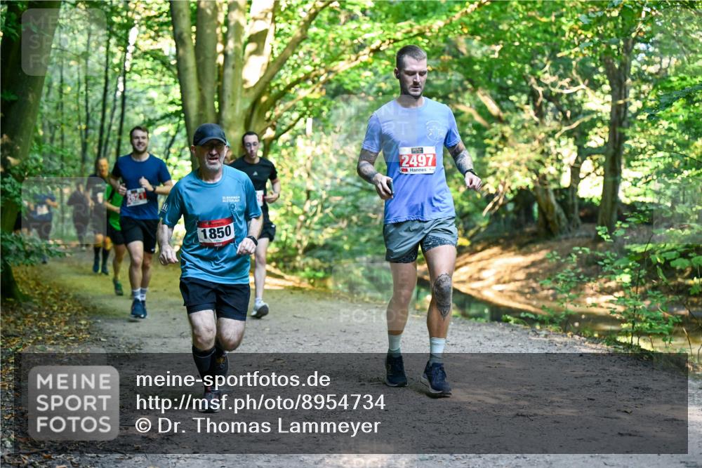 28.09.2025 - 33. Volkslauf durch das schöne Alstertal Dr. Thomas Lammeyer http://msf.ph/oto/8954734 28.09.2025 10:39:35 Laufen 32, 1850, 2497 meine-sportfotos.de