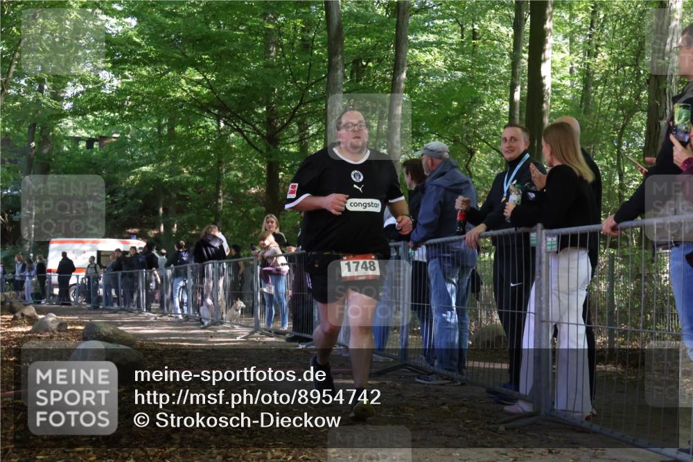28.09.2025 - 33. Volkslauf durch das schöne Alstertal Strokosch-Dieckow http://msf.ph/oto/8954742 28.09.2025 12:43:32 Ziel 1748 meine-sportfotos.de