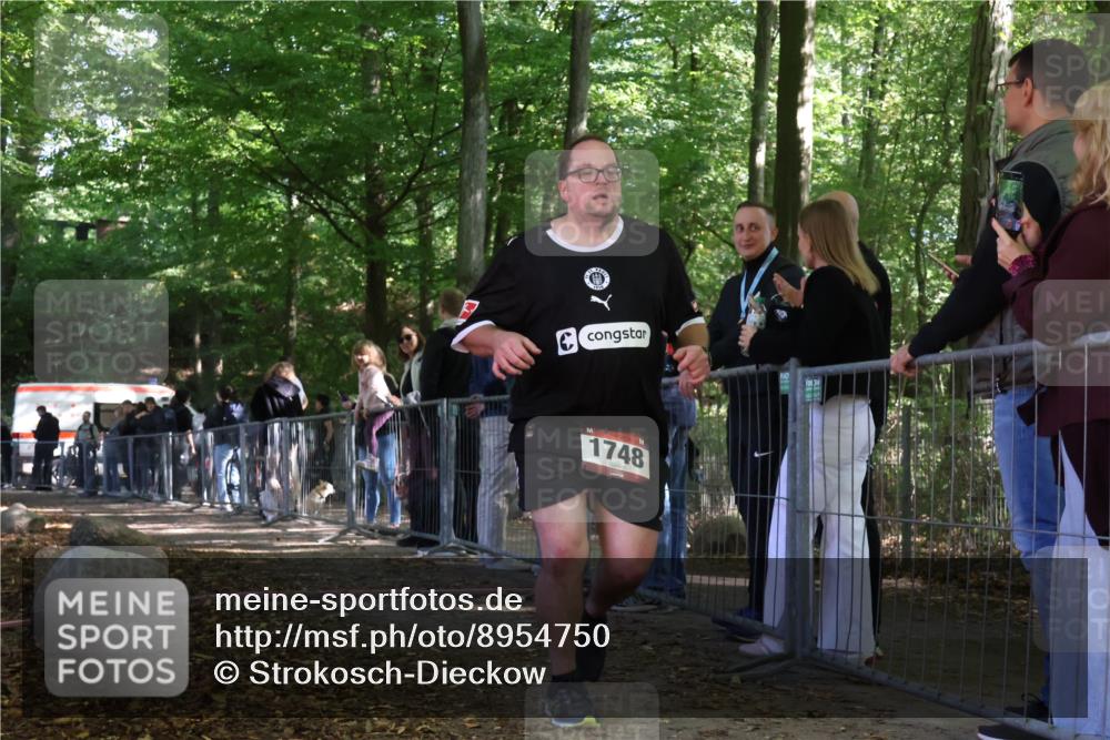 28.09.2025 - 33. Volkslauf durch das schöne Alstertal Strokosch-Dieckow http://msf.ph/oto/8954750 28.09.2025 12:43:33 Ziel  meine-sportfotos.de