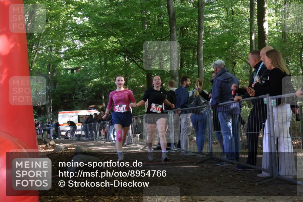 28.09.2025 - 33. Volkslauf durch das schöne Alstertal Strokosch-Dieckow http://msf.ph/oto/8954766 28.09.2025 12:43:48 Ziel 2401, 2571 meine-sportfotos.de