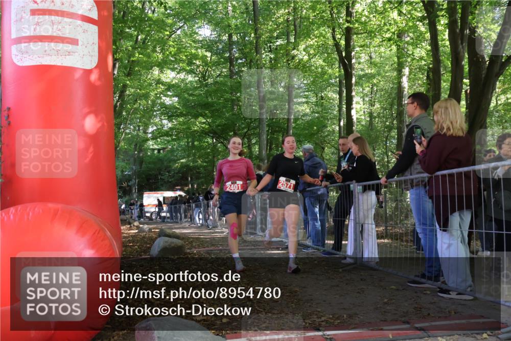 28.09.2025 - 33. Volkslauf durch das schöne Alstertal Strokosch-Dieckow http://msf.ph/oto/8954780 28.09.2025 12:43:49 Ziel 2401, 2437, 2571 meine-sportfotos.de