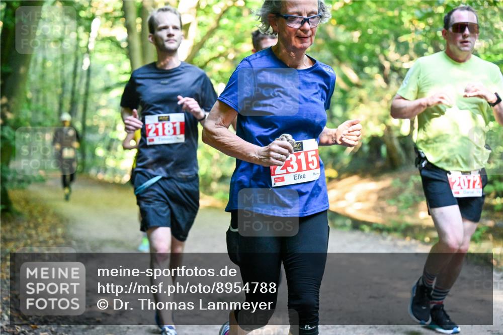 28.09.2025 - 33. Volkslauf durch das schöne Alstertal Dr. Thomas Lammeyer http://msf.ph/oto/8954788 28.09.2025 10:39:44 Laufen 2181, 2315, 2072 meine-sportfotos.de
