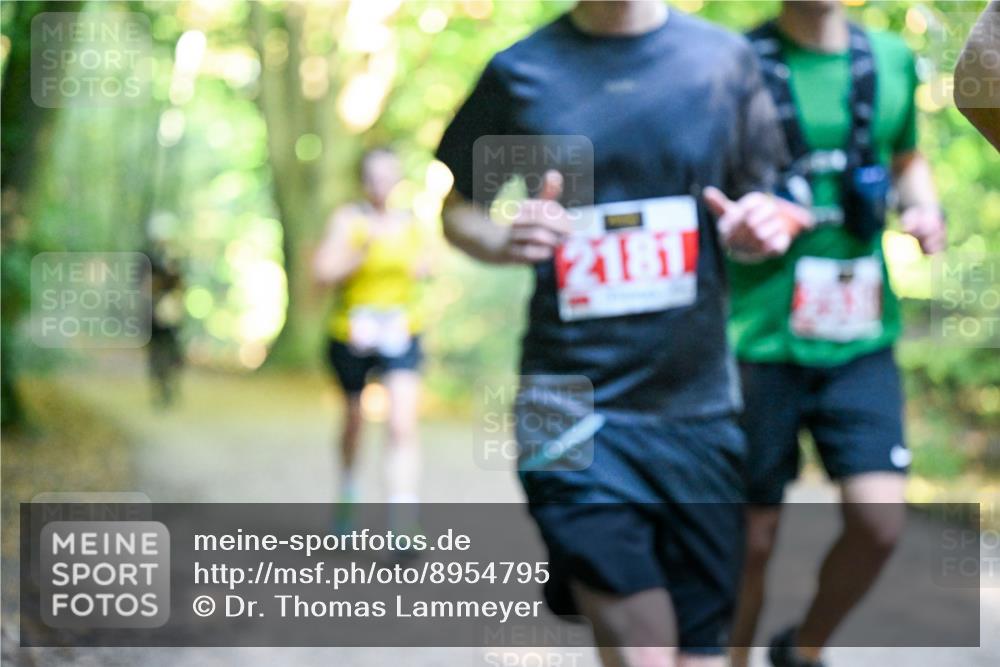 28.09.2025 - 33. Volkslauf durch das schöne Alstertal Dr. Thomas Lammeyer http://msf.ph/oto/8954795 28.09.2025 10:39:44 Laufen 181 meine-sportfotos.de
