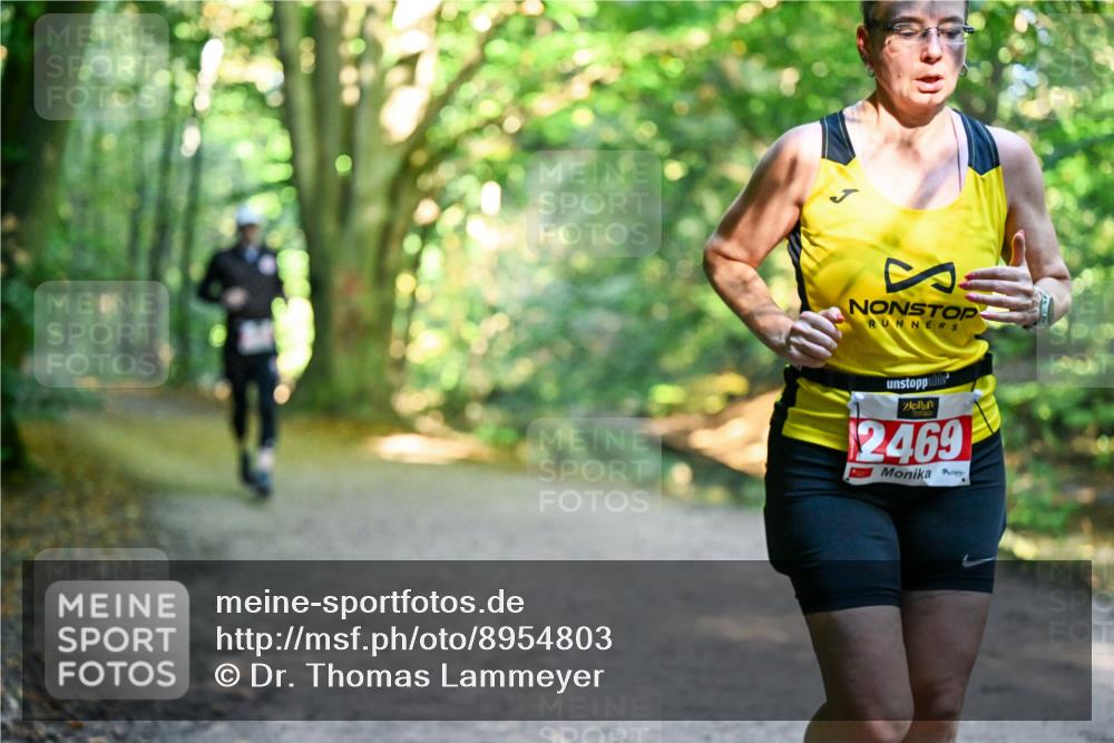 28.09.2025 - 33. Volkslauf durch das schöne Alstertal Dr. Thomas Lammeyer http://msf.ph/oto/8954803 28.09.2025 10:39:46 Laufen 2469 meine-sportfotos.de