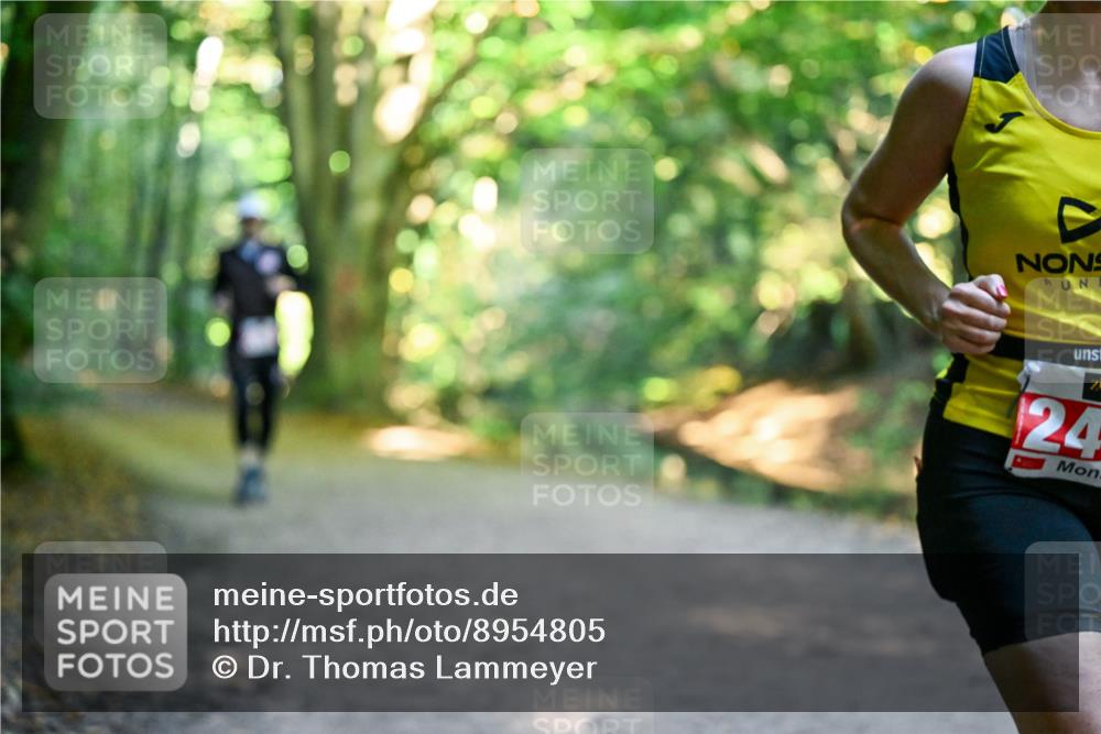 28.09.2025 - 33. Volkslauf durch das schöne Alstertal Dr. Thomas Lammeyer http://msf.ph/oto/8954805 28.09.2025 10:39:46 Laufen 24 meine-sportfotos.de