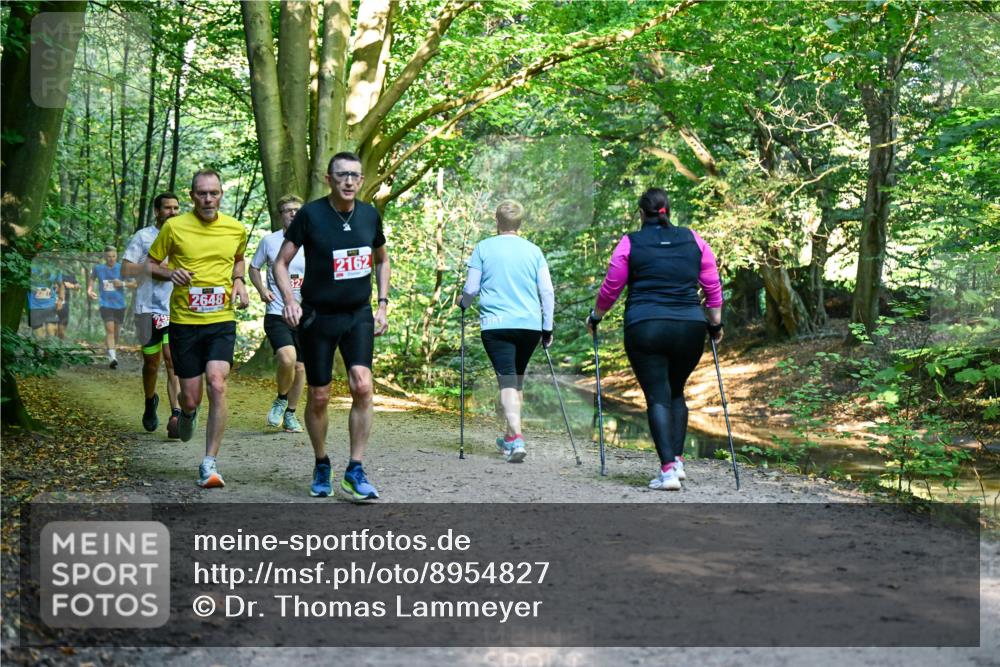28.09.2025 - 33. Volkslauf durch das schöne Alstertal Dr. Thomas Lammeyer http://msf.ph/oto/8954827 28.09.2025 10:39:55 Laufen 29, 2648, 2162 meine-sportfotos.de