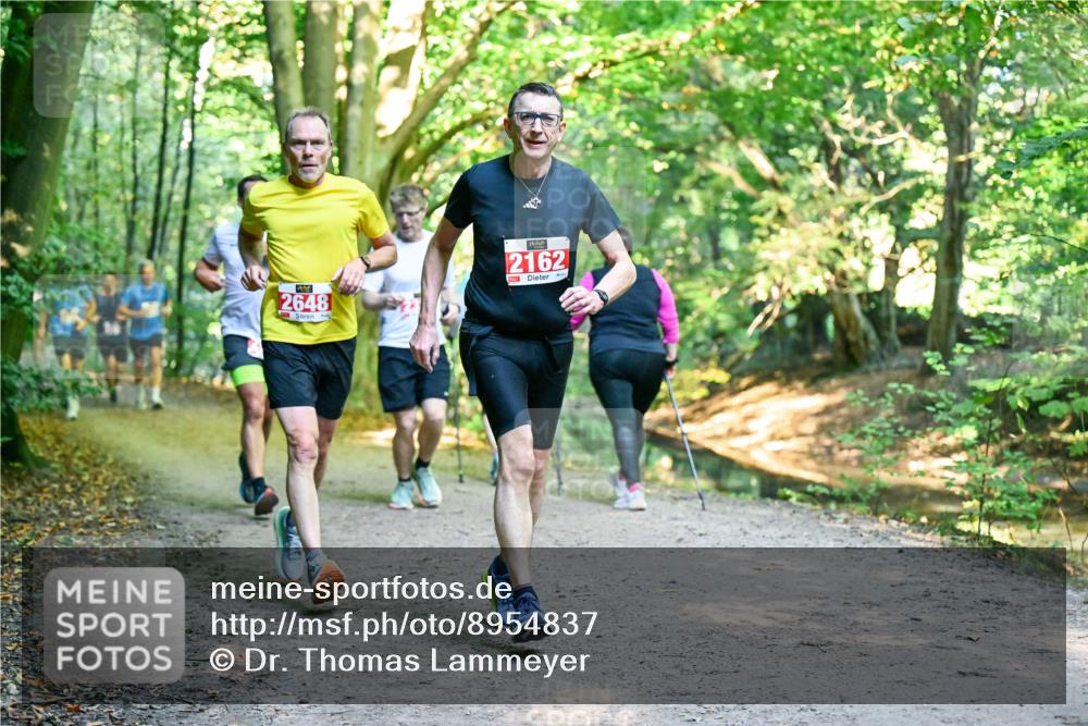 28.09.2025 - 33. Volkslauf durch das schöne Alstertal Dr. Thomas Lammeyer http://msf.ph/oto/8954837 28.09.2025 10:39:56 Laufen 2648, 2162 meine-sportfotos.de