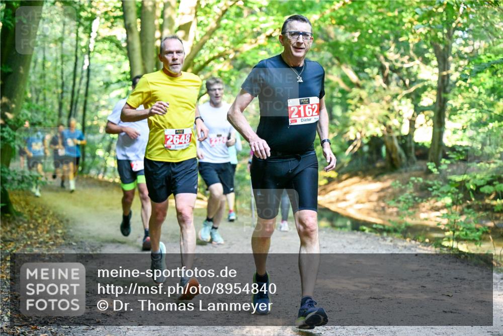 28.09.2025 - 33. Volkslauf durch das schöne Alstertal Dr. Thomas Lammeyer http://msf.ph/oto/8954840 28.09.2025 10:39:56 Laufen 2648, 2162 meine-sportfotos.de
