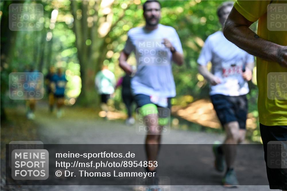 28.09.2025 - 33. Volkslauf durch das schöne Alstertal Dr. Thomas Lammeyer http://msf.ph/oto/8954853 28.09.2025 10:39:58 Laufen  meine-sportfotos.de