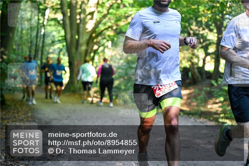 28.09.2025 - 33. Volkslauf durch das schöne Alstertal Dr. Thomas Lammeyer http://msf.ph/oto/8954855 28.09.2025 10:39:58 Laufen 2990 meine-sportfotos.de