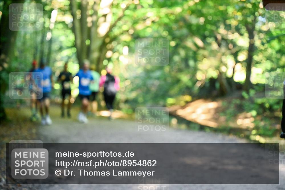 28.09.2025 - 33. Volkslauf durch das schöne Alstertal Dr. Thomas Lammeyer http://msf.ph/oto/8954862 28.09.2025 10:39:59 Laufen  meine-sportfotos.de