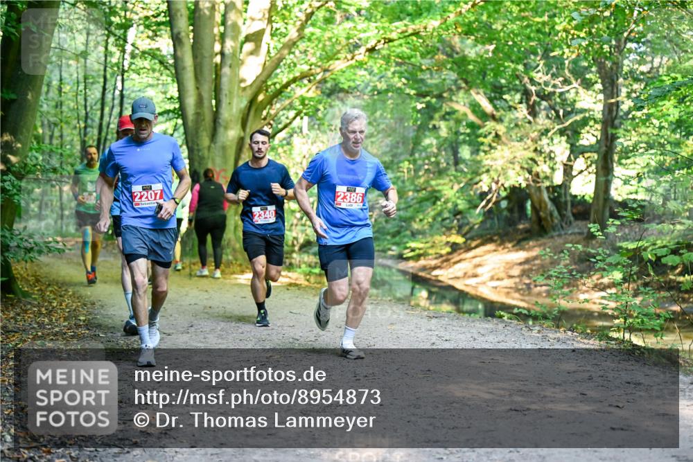 28.09.2025 - 33. Volkslauf durch das schöne Alstertal Dr. Thomas Lammeyer http://msf.ph/oto/8954873 28.09.2025 10:40:01 Laufen 2207, 2340, 2386 meine-sportfotos.de