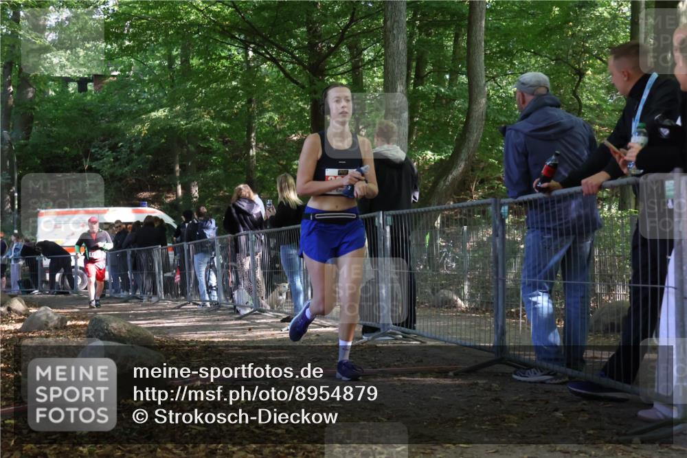 28.09.2025 - 33. Volkslauf durch das schöne Alstertal Strokosch-Dieckow http://msf.ph/oto/8954879 28.09.2025 12:44:42 Ziel 1777, 2303 meine-sportfotos.de